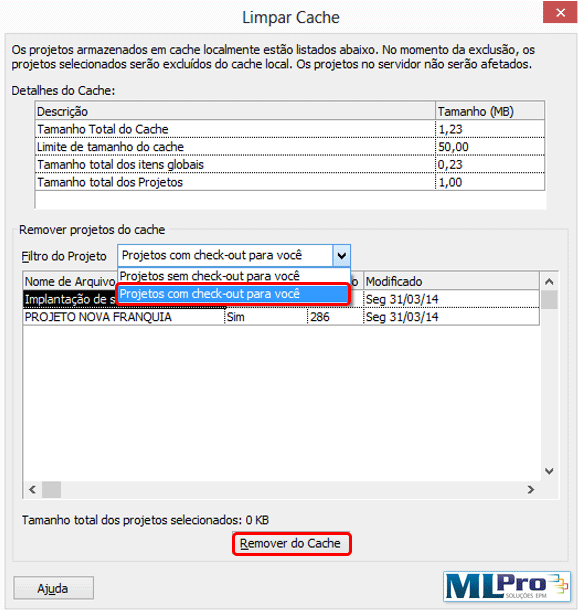 Limpeza-do-Cache-no-Project-Professional-2010 4